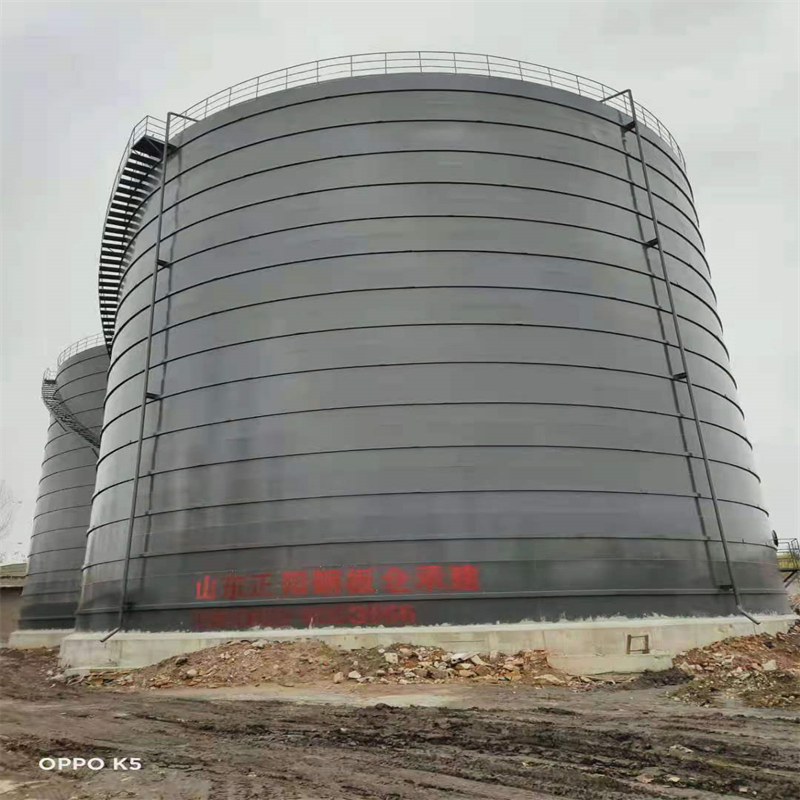 高唐3万吨大型钢板库